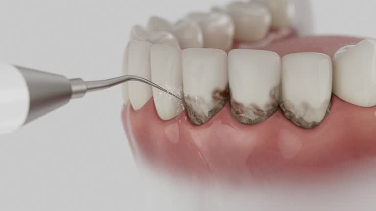 Reliable Dental contractor in Livingston County County, MI by Dentist Open Now